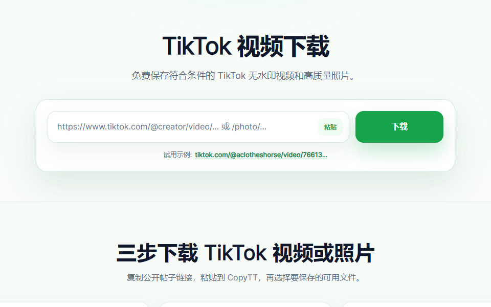 TikTok 链接输入界面